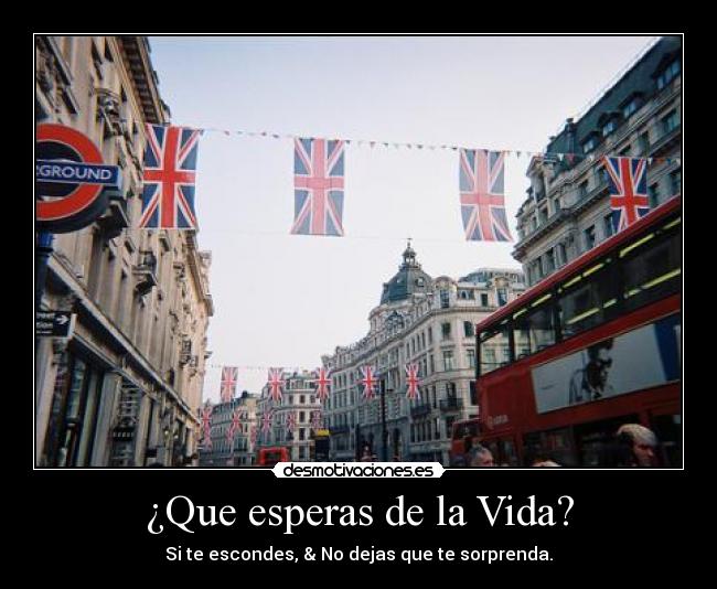 carteles vida sjhvdkbgnvaslkdjbglka desmotivaciones