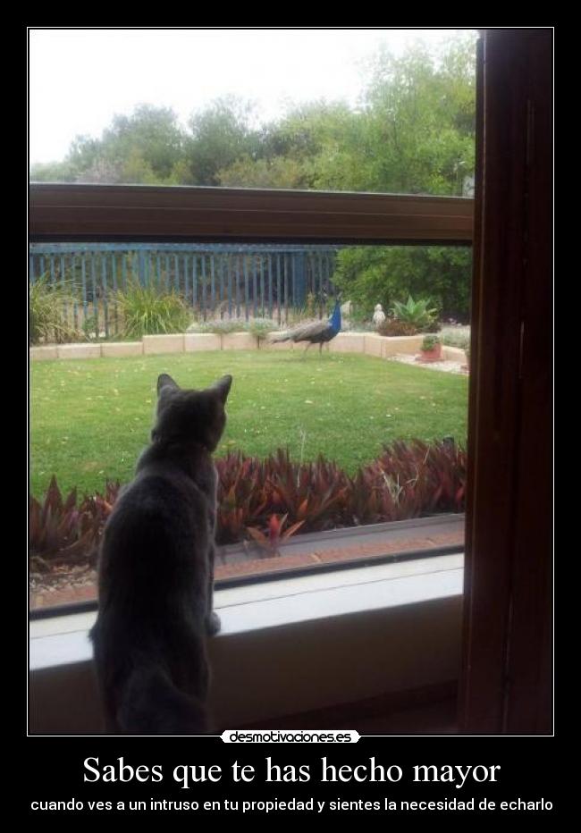 carteles echarlo tomar por equisde partyhard saw hecho mayor lol lold hardly desmotivaciones