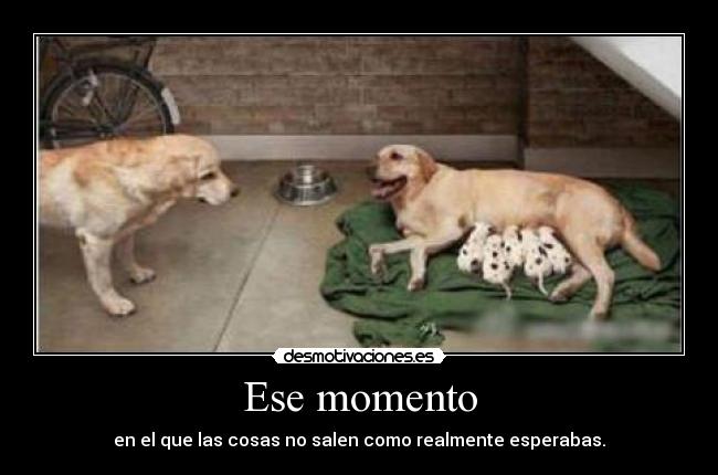 Ese momento - en el que las cosas no salen como realmente esperabas.