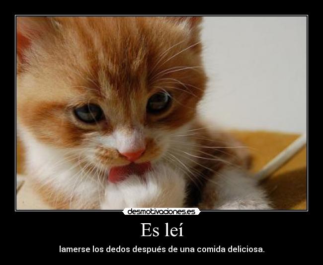 Es leí - lamerse los dedos después de una comida deliciosa.