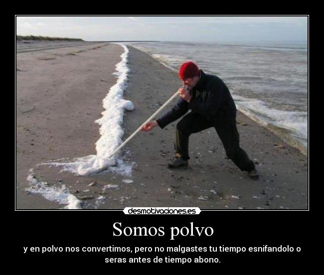 Somos polvo - 