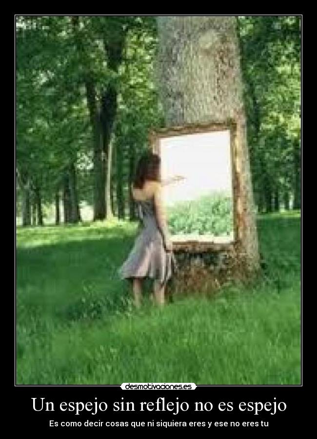 carteles sdsdsf desmotivaciones