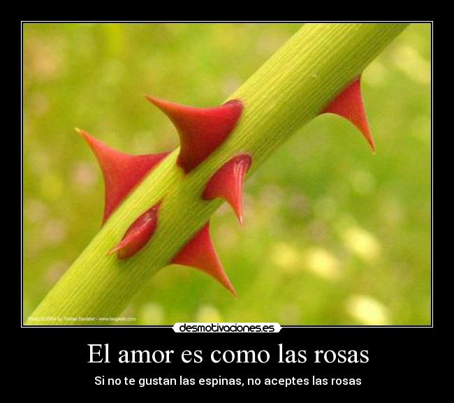 carteles amor amor desmotivaciones