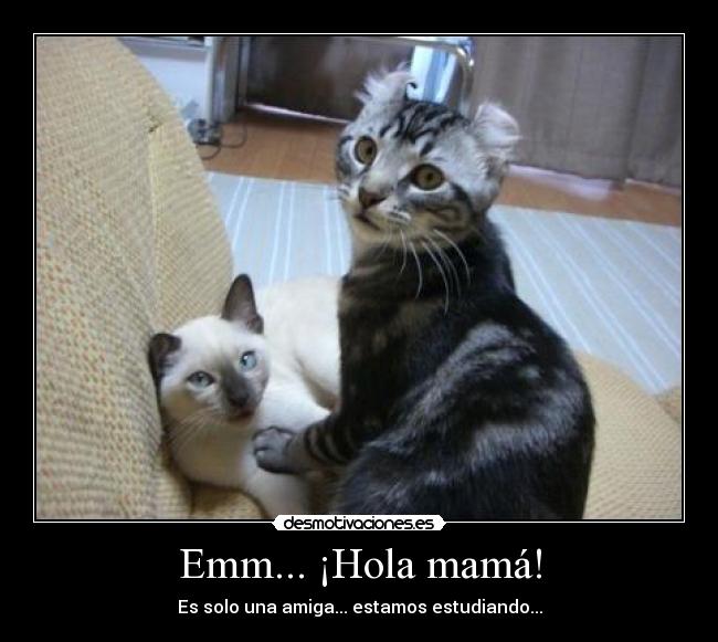 Emm... ¡Hola mamá! - Es solo una amiga... estamos estudiando...