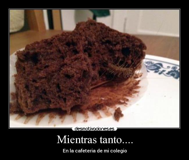 Mientras tanto.... -