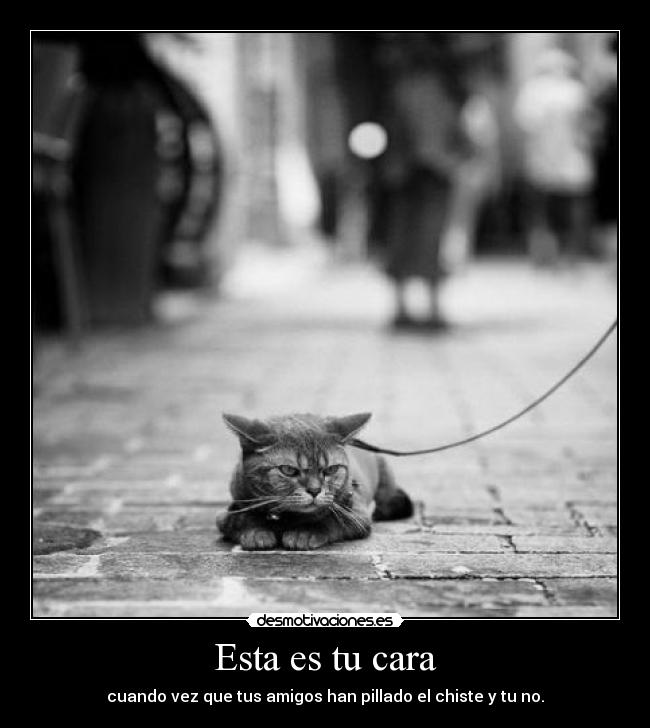 Esta es tu cara - cuando vez que tus amigos han pillado el chiste y tu no.