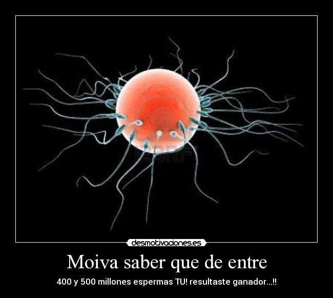 Moiva saber que de entre - 400 y 500 millones espermas TU! resultaste ganador...!!