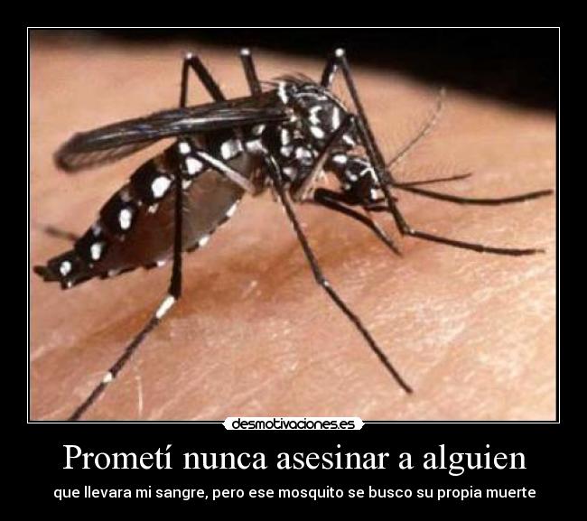 Prometí nunca asesinar a alguien - que llevara mi sangre, pero ese mosquito se busco su propia muerte