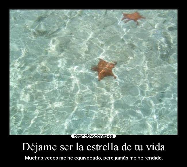 Déjame ser la estrella de tu vida - Muchas veces me he equivocado, pero jamás me he rendido.