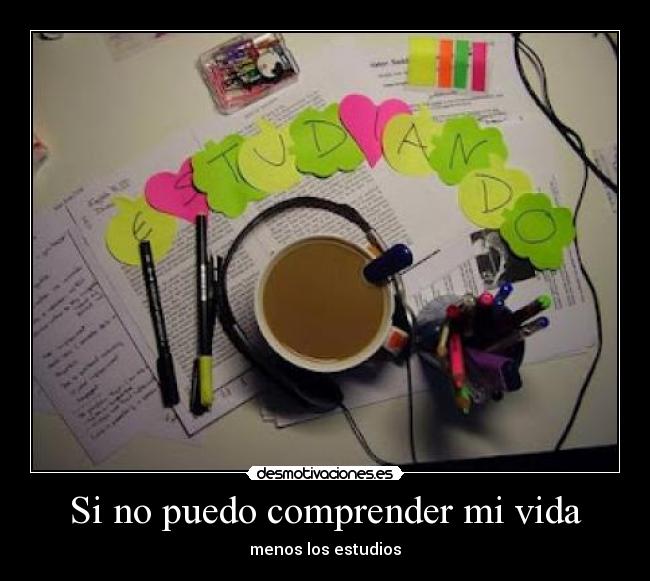 Si no puedo comprender mi vida -