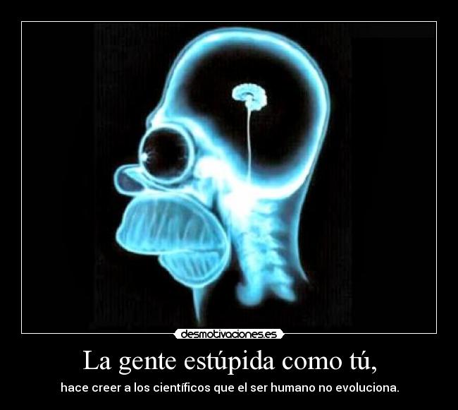 carteles estupidos everywhere desmotivaciones