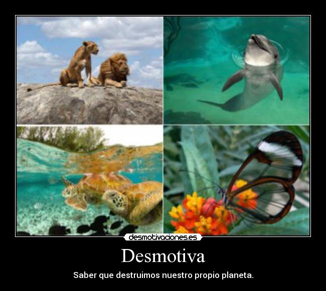 Desmotiva - Saber que destruimos nuestro propio planeta.