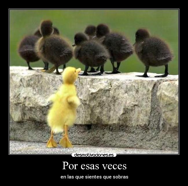 carteles horrible desmotivaciones