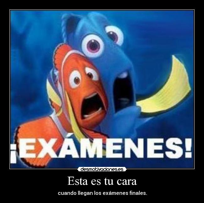 Esta es tu cara - cuando llegan los exámenes finales.