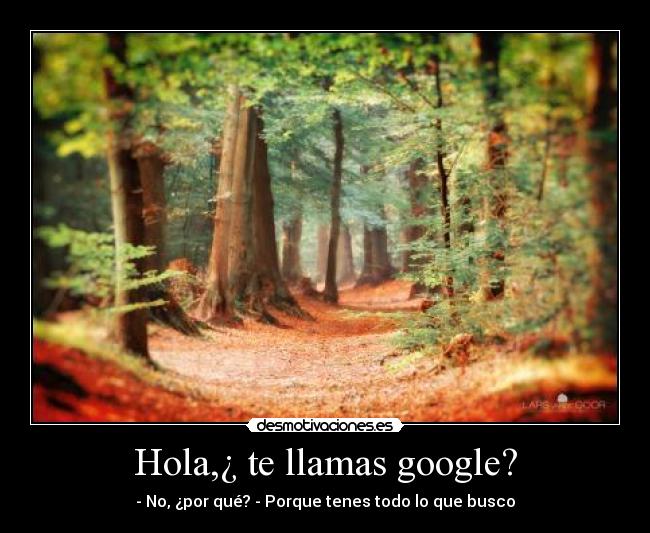 Hola,¿ te llamas google? - - No, ¿por qué? - Porque tenes todo lo que busco