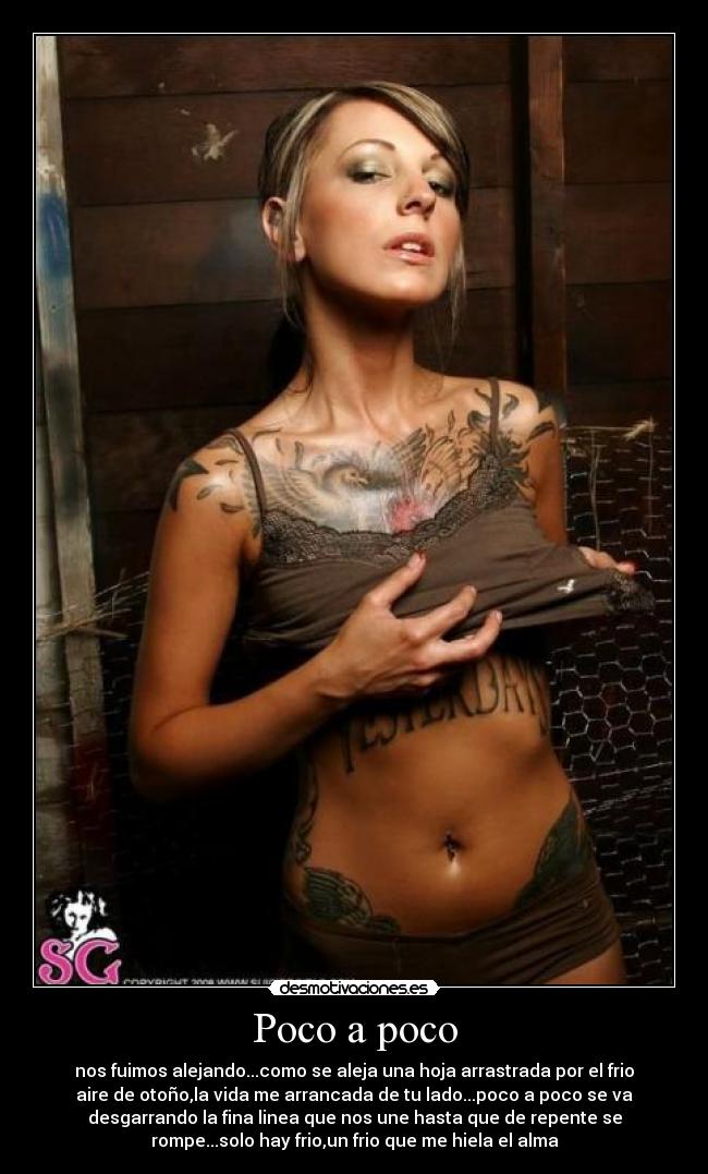 carteles alma pena desmotivaciones