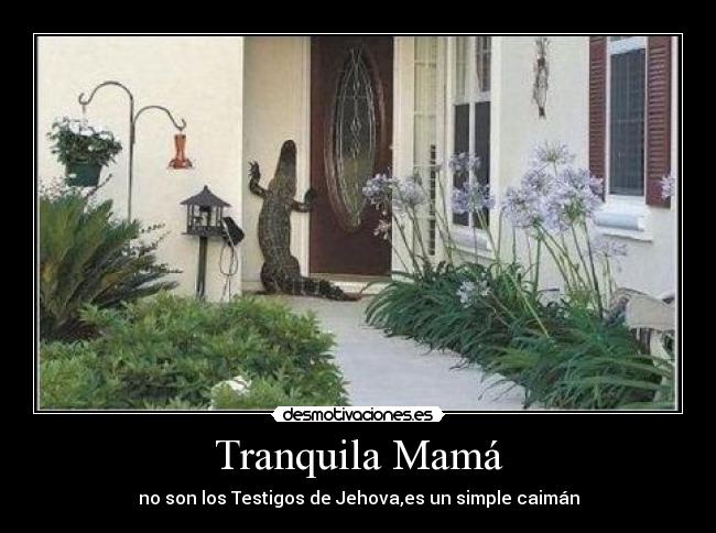 Tranquila Mamá -