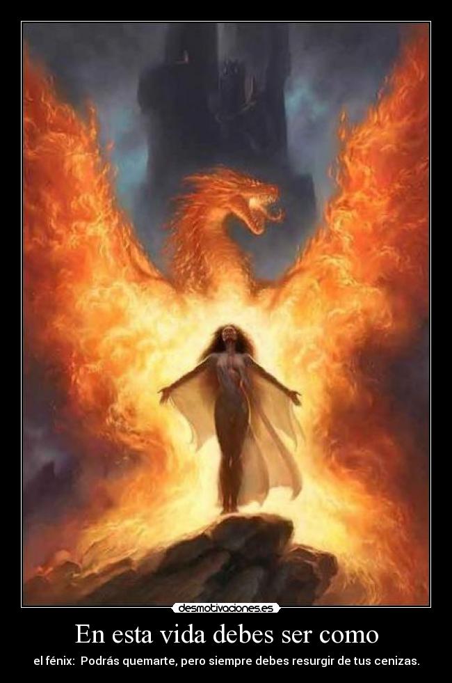 carteles vida desmoconcurso2 desde cuando chicago cod empezo dar ideas para mis carteles desmotivaciones