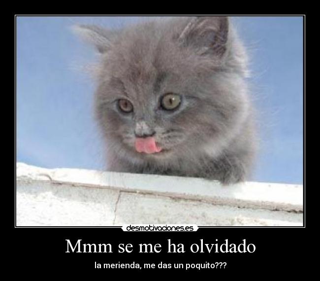 Mmm se me ha olvidado - 