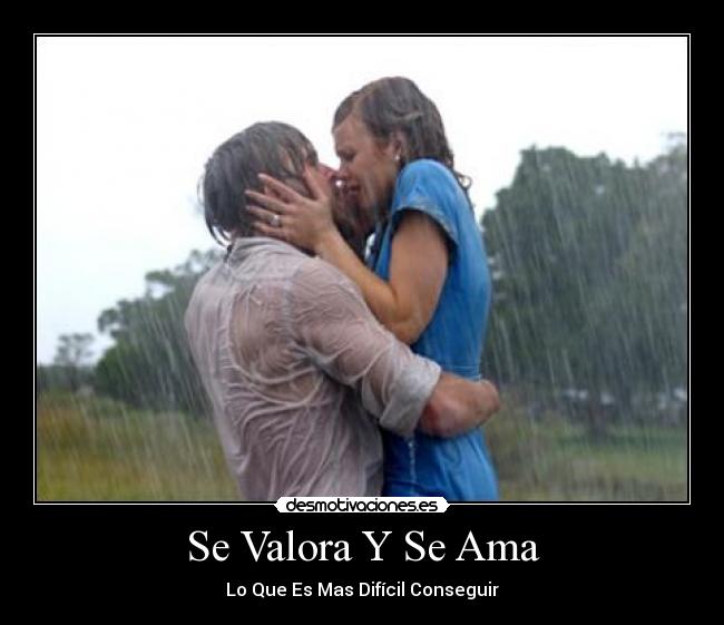 carteles mcdelarosa desmotivaciones