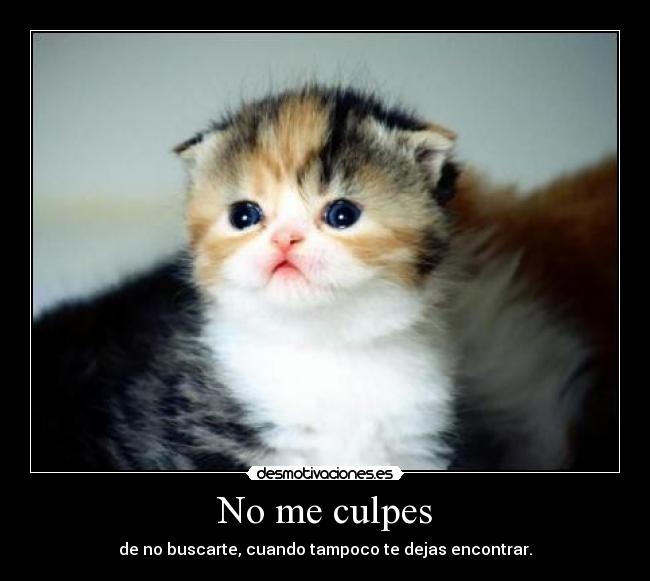 No me culpes -