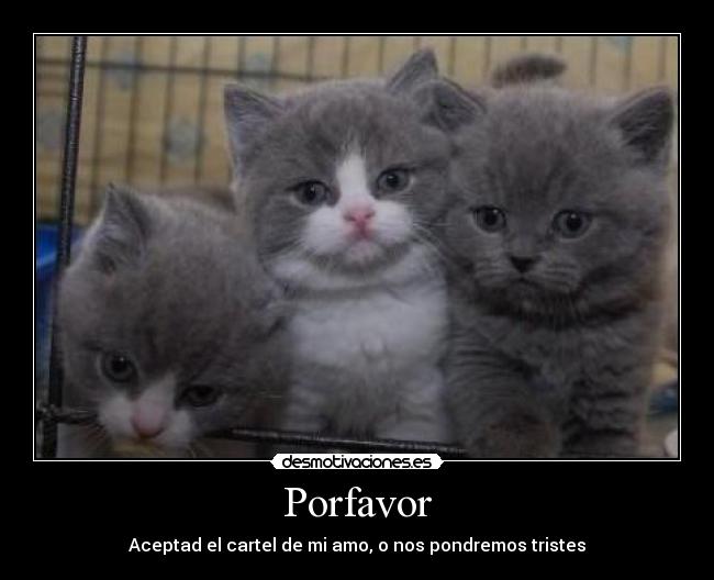 Porfavor - 