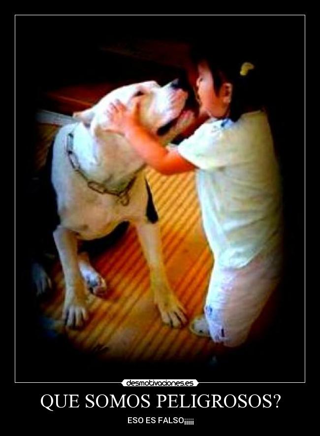 QUE SOMOS PELIGROSOS? - 