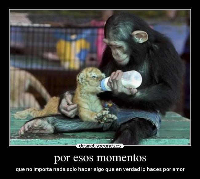 por esos momentos - que no importa nada solo hacer algo que en verdad lo haces por amor