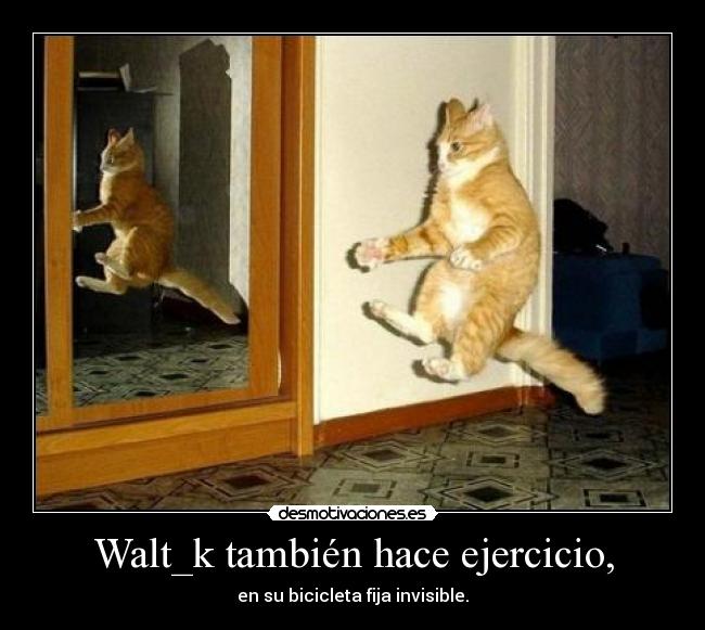 Walt_k también hace ejercicio, -
