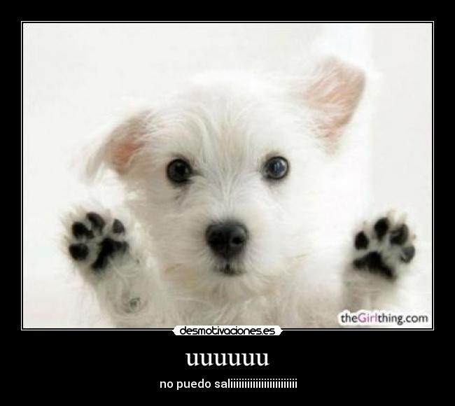 uuuuuu - no puedo saliiiiiiiiiiiiiiiiiiiiiiii