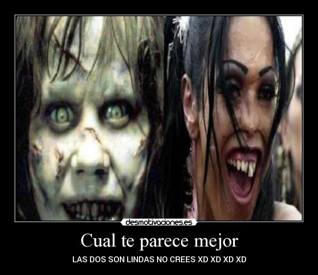 Cual te parece mejor -