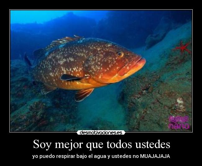Soy mejor que todos ustedes - yo puedo respirar bajo el agua y ustedes no MUAJAJAJA
