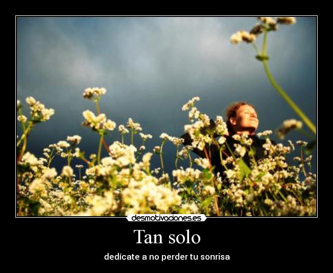 Tan solo - dedícate a no perder tu sonrisa
