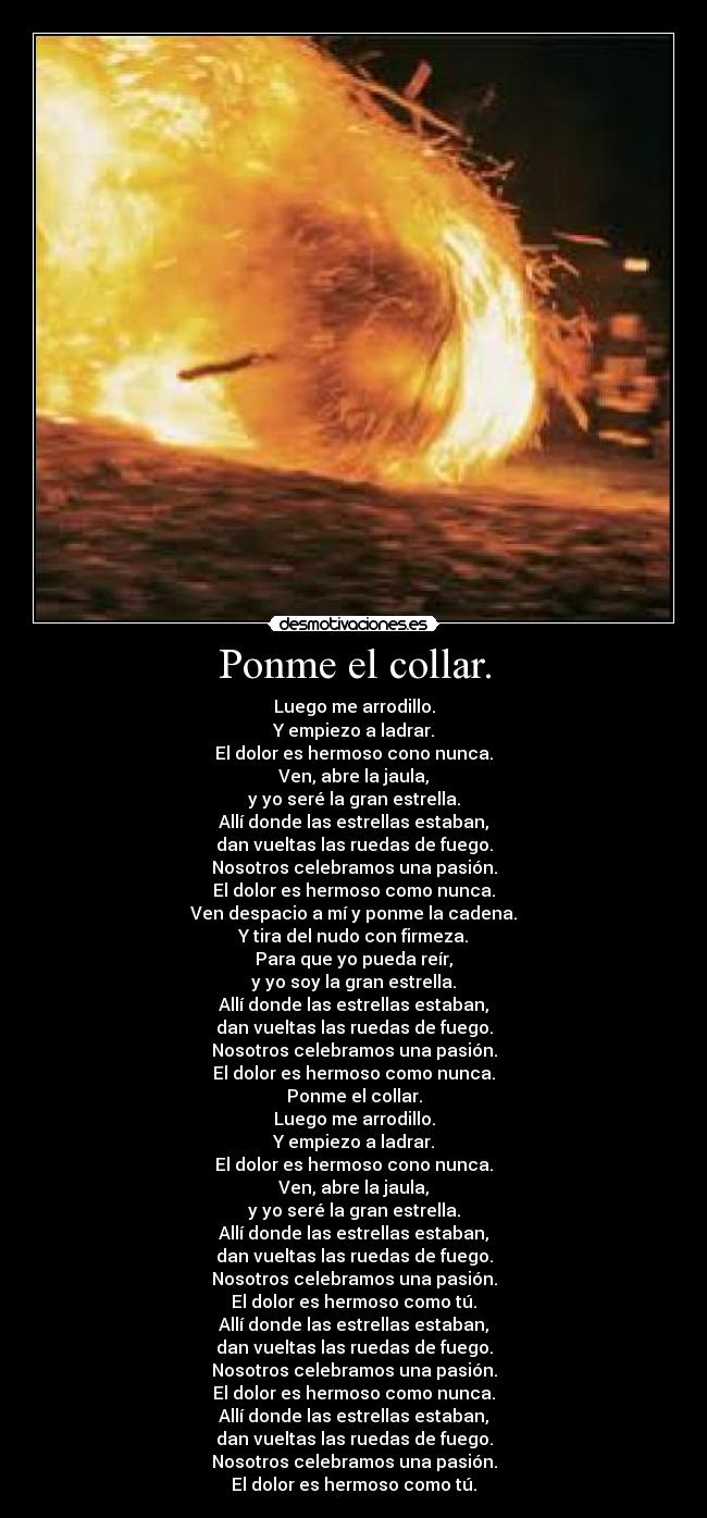 Ponme el collar. - Luego me arrodillo.
Y empiezo a ladrar.
El dolor es hermoso cono nunca.
Ven, abre la jaula,
y yo seré la gran estrella.
Allí donde las estrellas estaban,
dan vueltas las ruedas de fuego.
Nosotros celebramos una pasión.
El dolor es hermoso como nunca.
Ven despacio a mí y ponme la cadena.
Y tira del nudo con firmeza.
Para que yo pueda reír,
y yo soy la gran estrella.
Allí donde las estrellas estaban,
dan vueltas las ruedas de fuego.
Nosotros celebramos una pasión.
El dolor es hermoso como nunca.
Ponme el collar.
Luego me arrodillo.
Y empiezo a ladrar.
El dolor es hermoso cono nunca.
Ven, abre la jaula,
y yo seré la gran estrella.
Allí donde las estrellas estaban,
dan vueltas las ruedas de fuego.
Nosotros celebramos una pasión.
El dolor es hermoso como tú.
Allí donde las estrellas estaban,
dan vueltas las ruedas de fuego.
Nosotros celebramos una pasión.
El dolor es hermoso como nunca.
Allí donde las estrellas estaban,
dan vueltas las ruedas de fuego.
Nosotros celebramos una pasión.
El dolor es hermoso como tú.