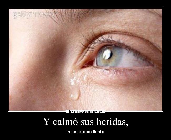 Y calmó sus heridas, - en su propio llanto.