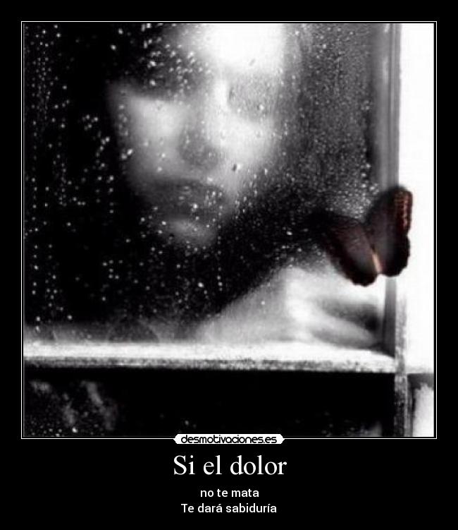 Si el dolor - no te mata
Te dará sabiduría