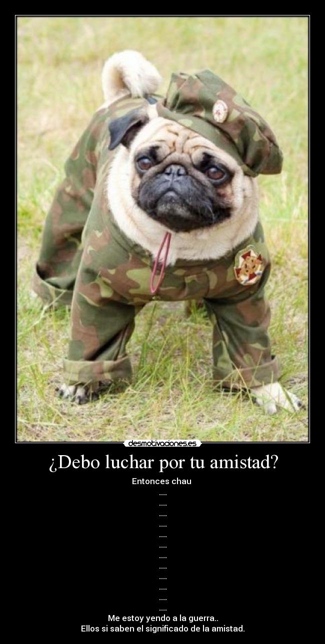 ¿Debo luchar por tu amistad? - 