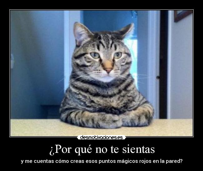 carteles clan catkillers desmotivaciones