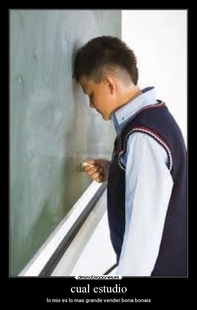cual estudio - lo mio es lo mas grande vender bona bonais