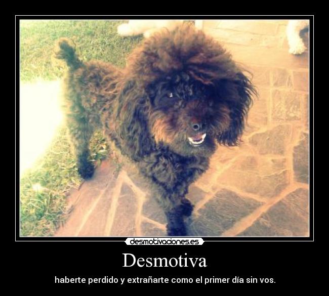 Desmotiva - haberte perdido y extrañarte como el primer día sin vos.