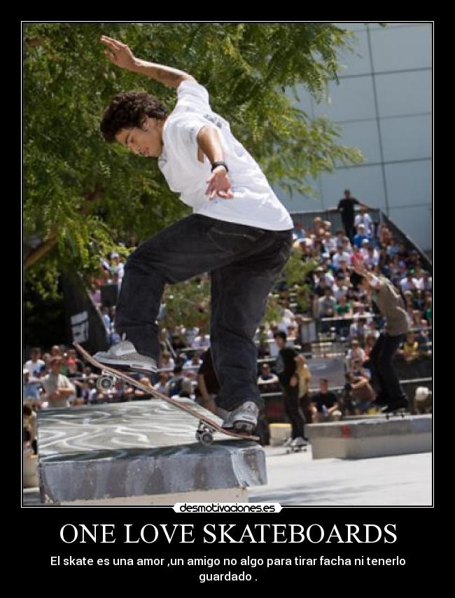 ONE LOVE SKATEBOARDS -