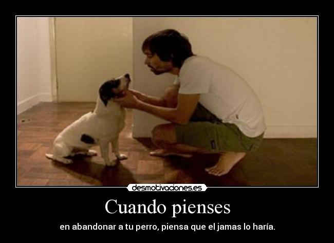 Cuando pienses - en abandonar a tu perro, piensa que el jamas lo haría.
