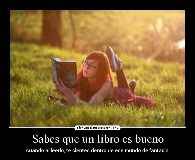 Sabes que un libro es bueno -