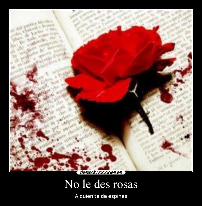 No le des rosas - A quien te da espinas