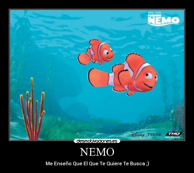 NEMO - Me Enseño Que El Que Te Quiere Te Busca ;)