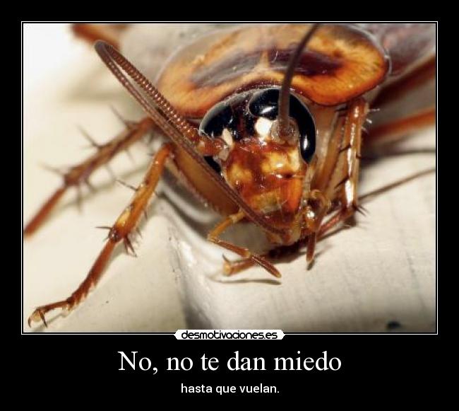 carteles miedo edwardpez desmotivaciones
