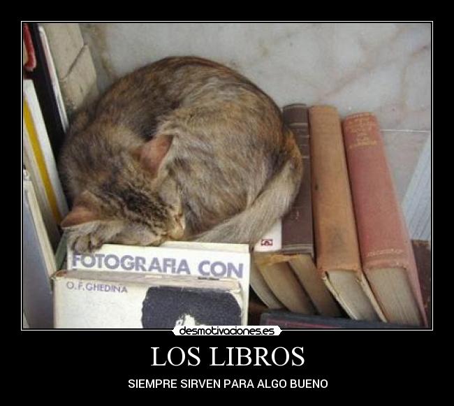 LOS LIBROS - SIEMPRE SIRVEN PARA ALGO BUENO