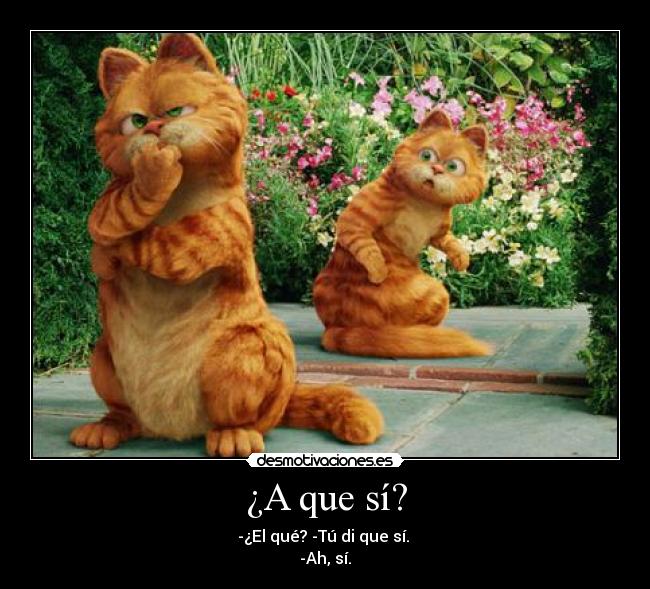 ¿A que sí? - 