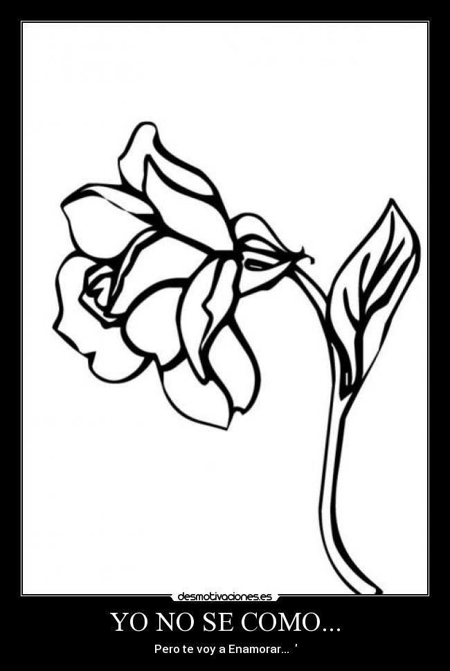 YO NO SE COMO... - Pero te voy a Enamorar... ♥