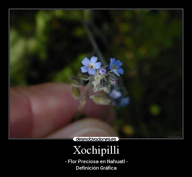 Xochipilli - 